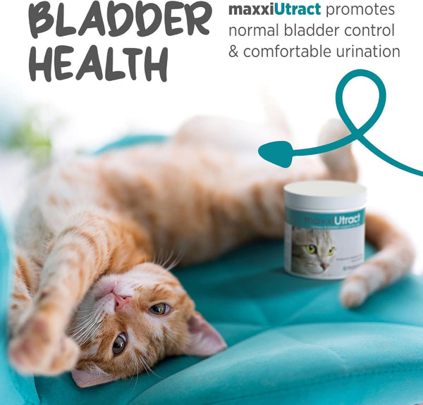 MaxxiUtract Urinary and Bladder