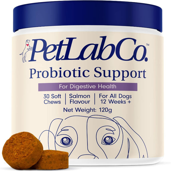 Probiotics for Dogs