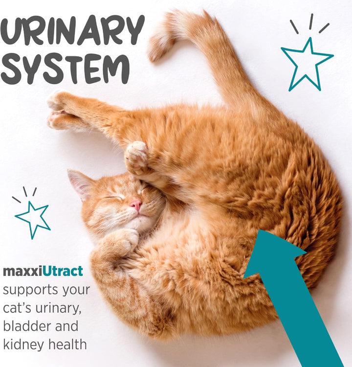 MaxxiUtract Urinary and Bladder