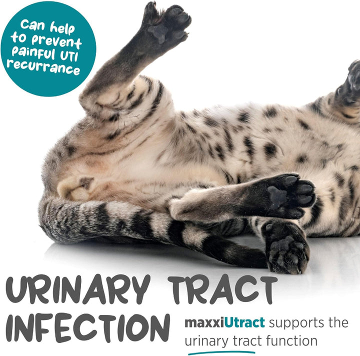 MaxxiUtract Urinary and Bladder